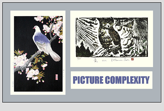 Picture Complexity Blog